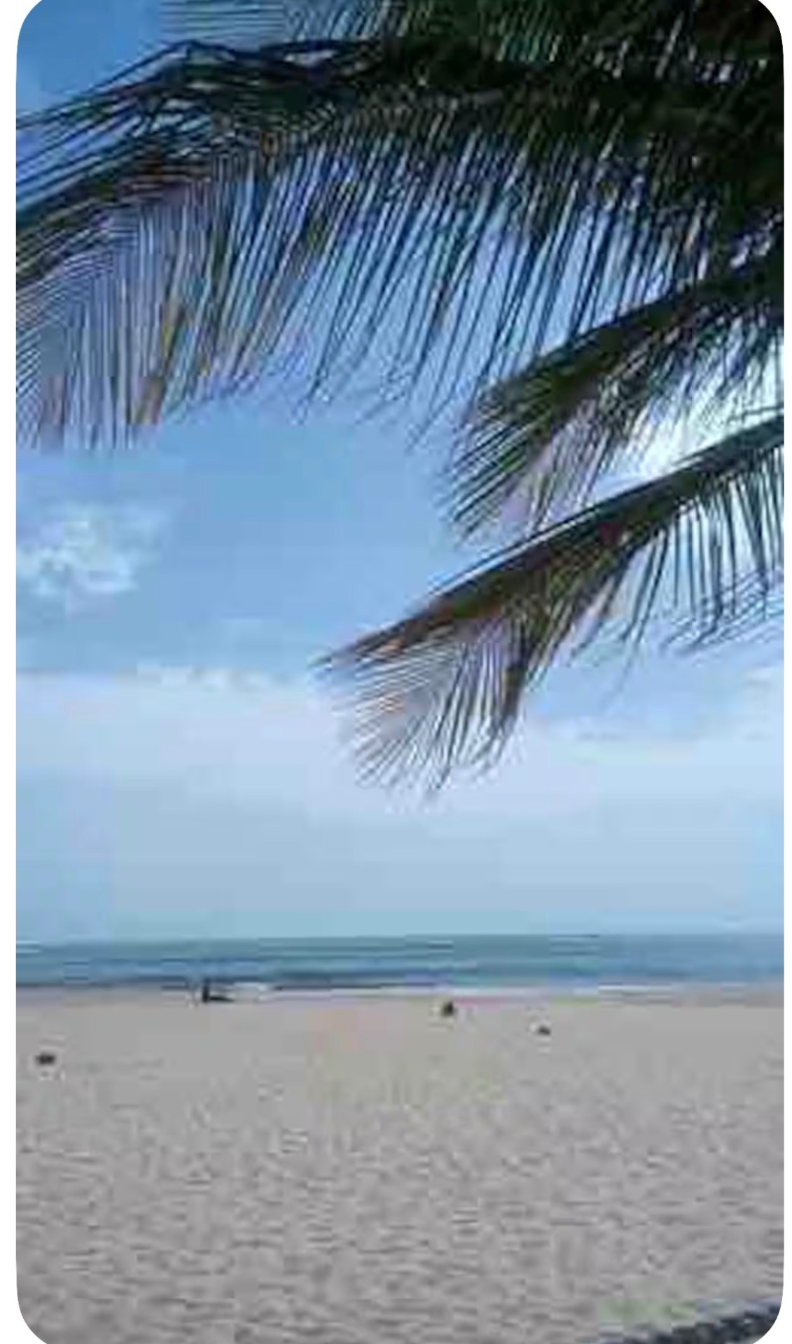 Plage de Saly sous les palmiers