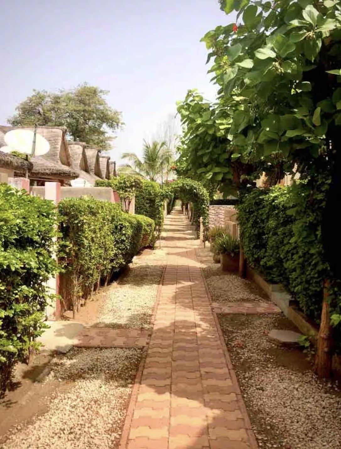 Allée verdoyante de la Résidence Paradis 2